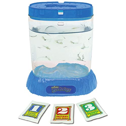 Sea-Monkeys シーモンキー セット 519jJ3e+vnL._SL1200_.jpg